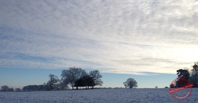 snowy-field-2
